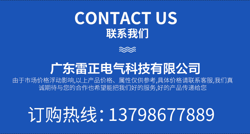 雷正電氣